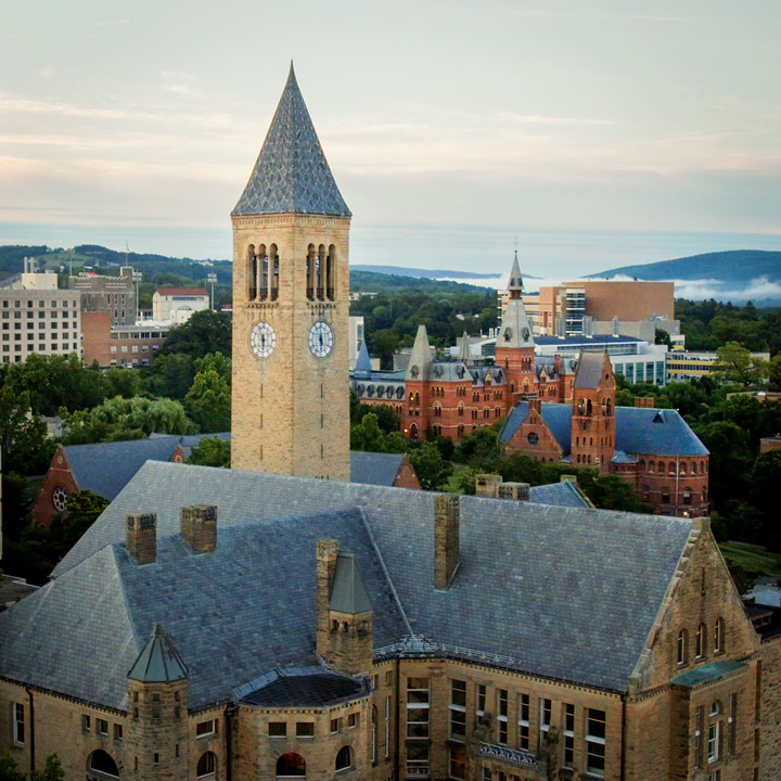 
                                                                                      Cornell University